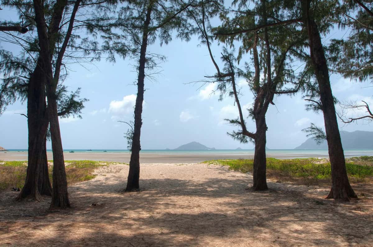 Filaos et sable clair sur la plage de Lò Vôi, avec des îlots à l'horizon, île de Côn Sơn