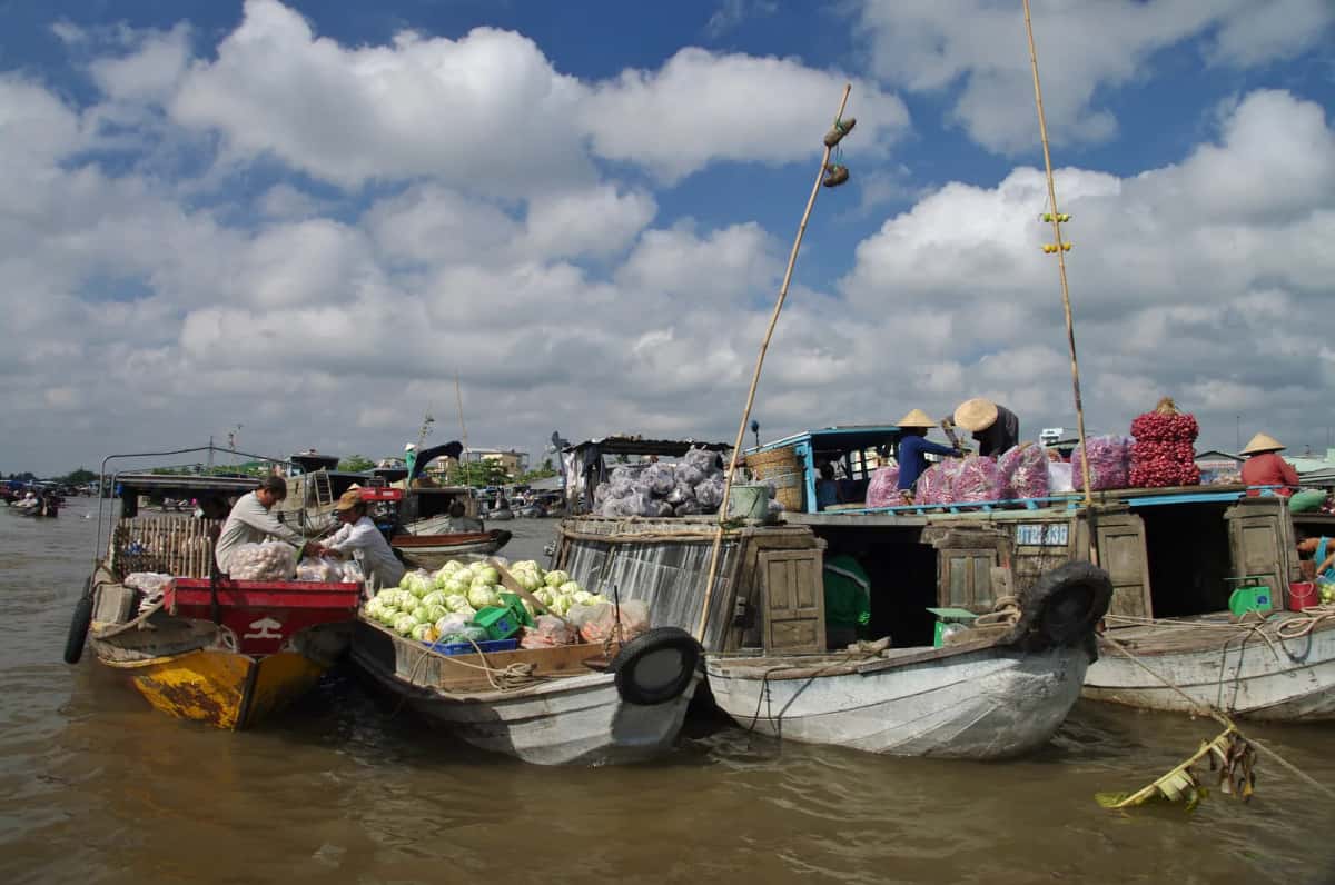 Barques chargées de choux et d'oignons, avec perches à marchandises, au marché flottant de Cái Răng, à Cần Thơ