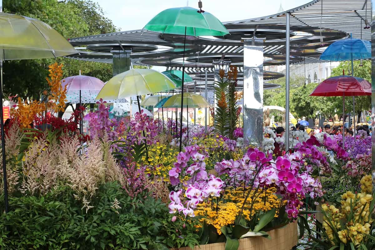Rue des fleurs Nguyễn Huệ à Hô Chi Minh-Ville pendant le Têt : orchidées, fleurs jaunes et parapluies colorés