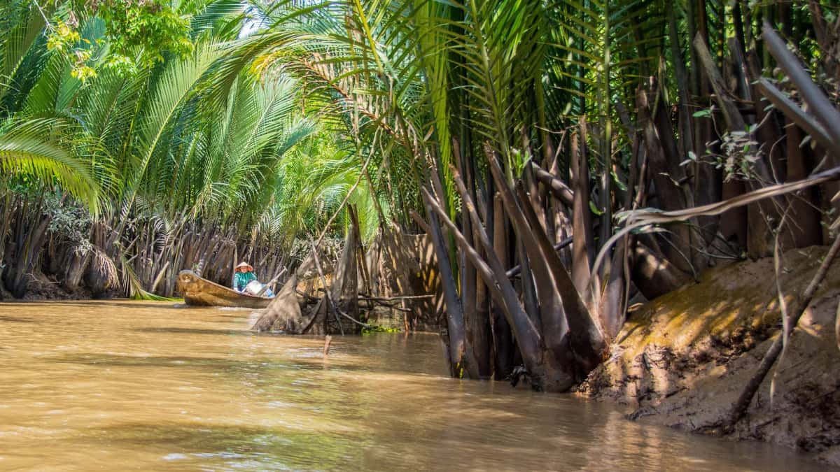 Canal bordé de palmiers nipa à Mỹ Tho, dans le delta du Mékong, avec une barque au loin