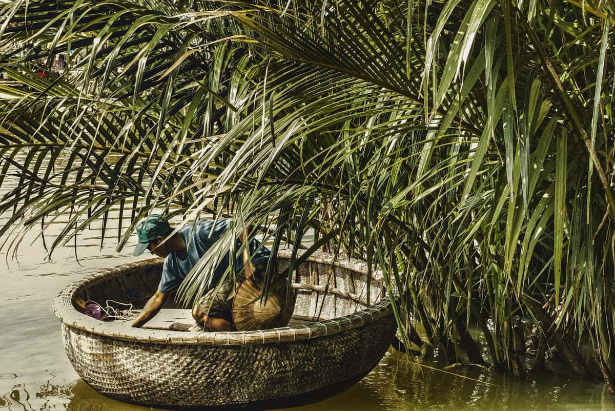 Pêcheur dans un bateau-panier (thúng) sous les cocotiers d'eau de Cẩm Thanh, Hội An