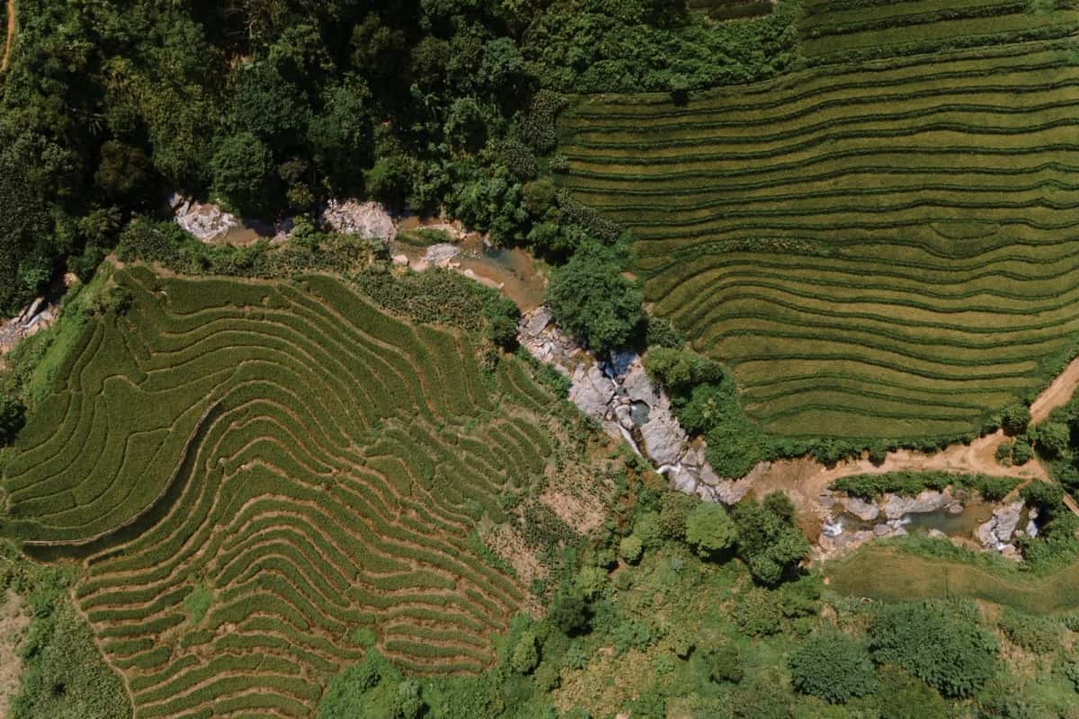 Rizières en terrasse de Sapa au Vietnam, vue aérienne