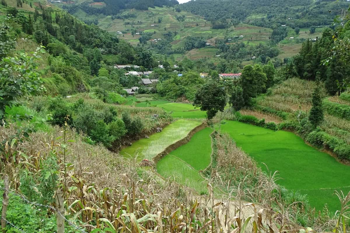 Rizières et village sur les pentes du plateau de Bắc Hà, province de Lào Cai